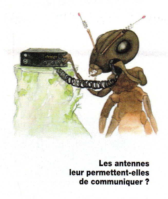 Paire D'antennes Pliables Pour Fourmis Nic Et Pic, En Céramique Bisque à Peindre, Neuves